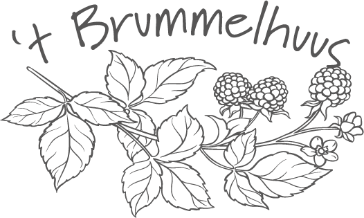 't Brummelhuus