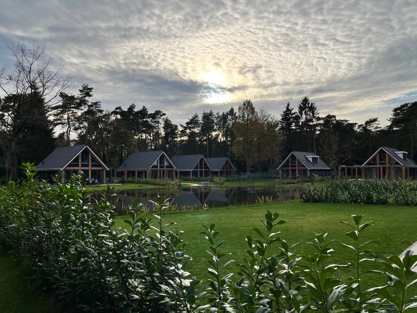 De woningen van Bosrijk Ruighenrode aan een vijver, met bos en een wolkenlucht